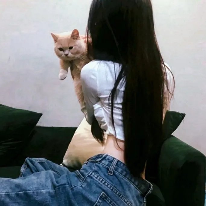凝视猎物