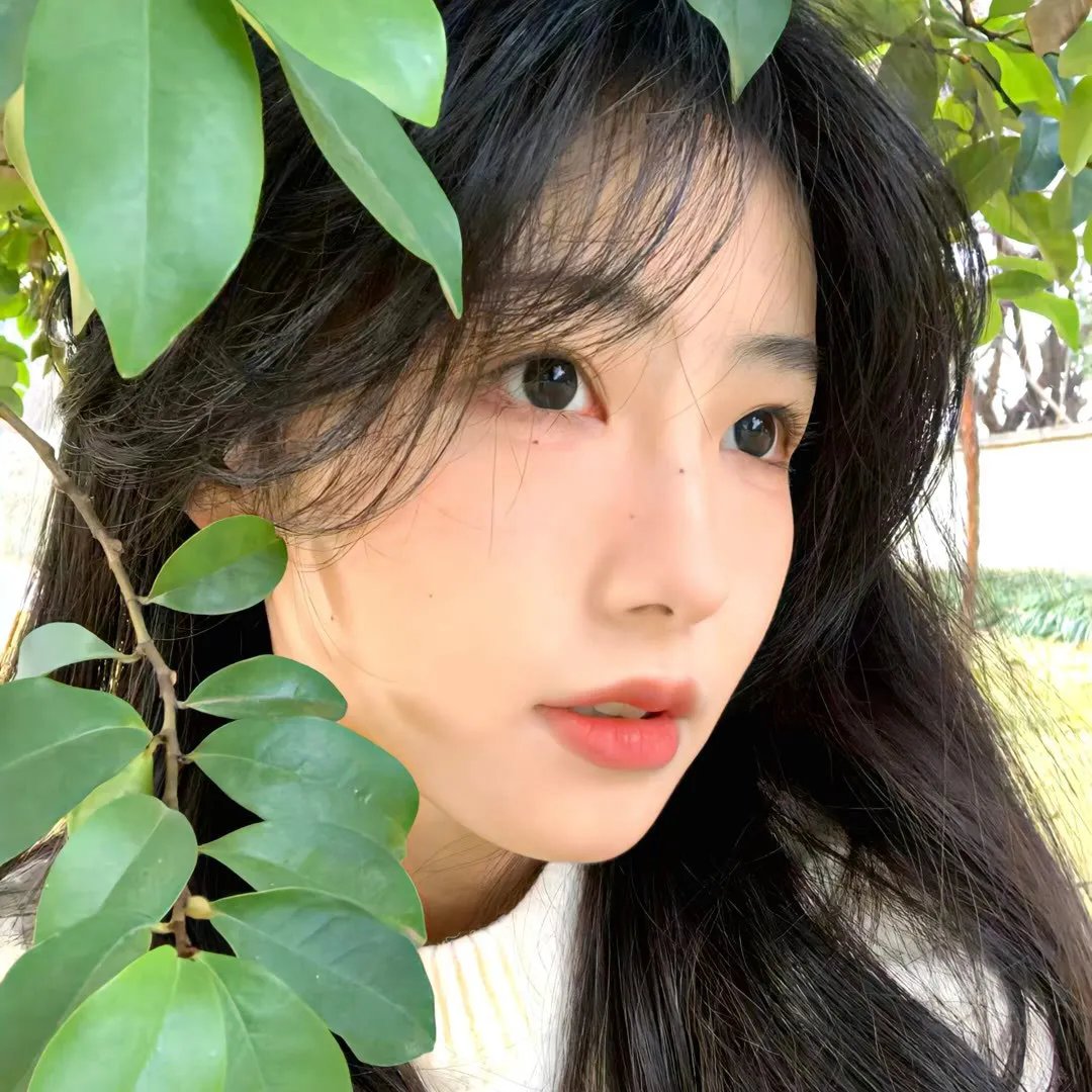 毒枭女煞星